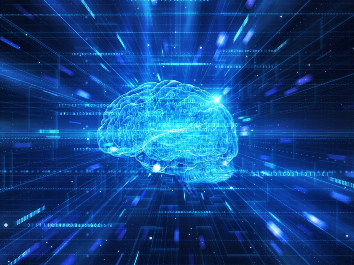 Como vamos nos matar? (por Fernanda Hamann)