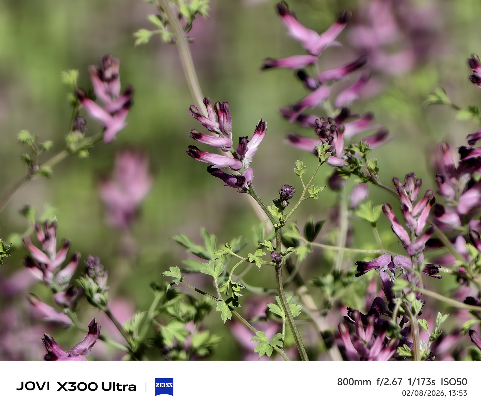 Os 5 melhores celulares topo de linha testados pelo TechTudo até agora
