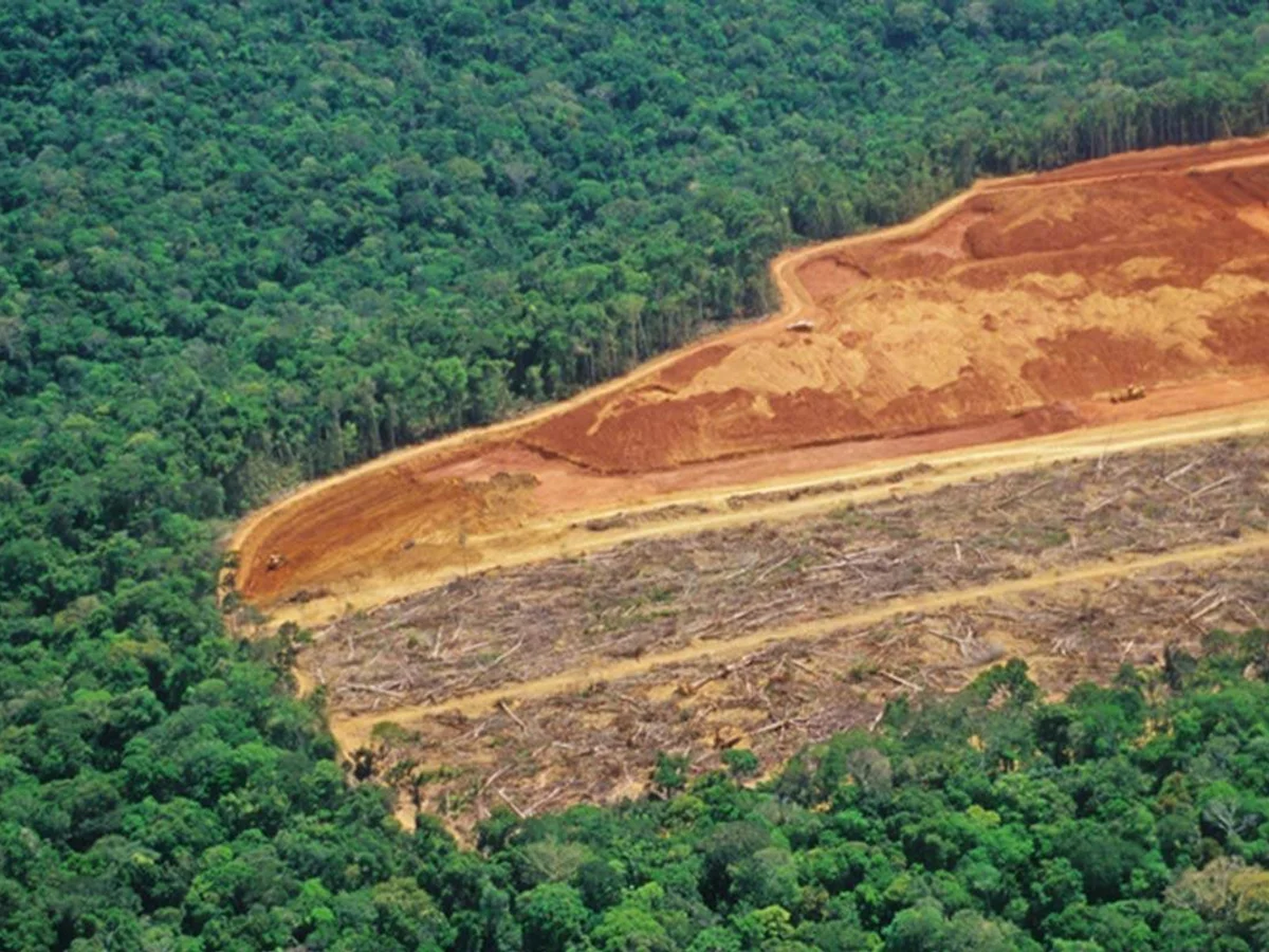 Desmatamento na Amazônia e no Cerrado atinge menor nível da série histórica