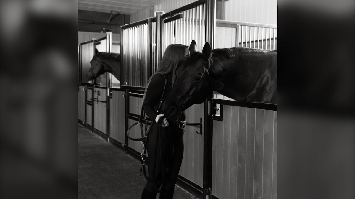 ‘This is a terrible tragedy’: Multiple horses killed in highway crash on way to championship