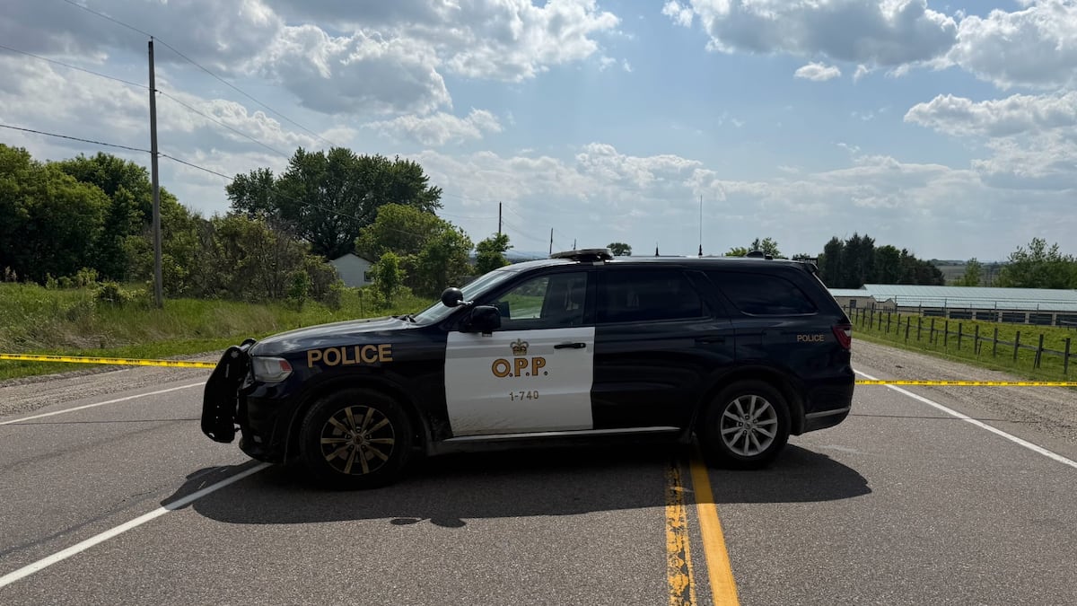 Motorcyclist dies after crash on Hwy. 94: OPP