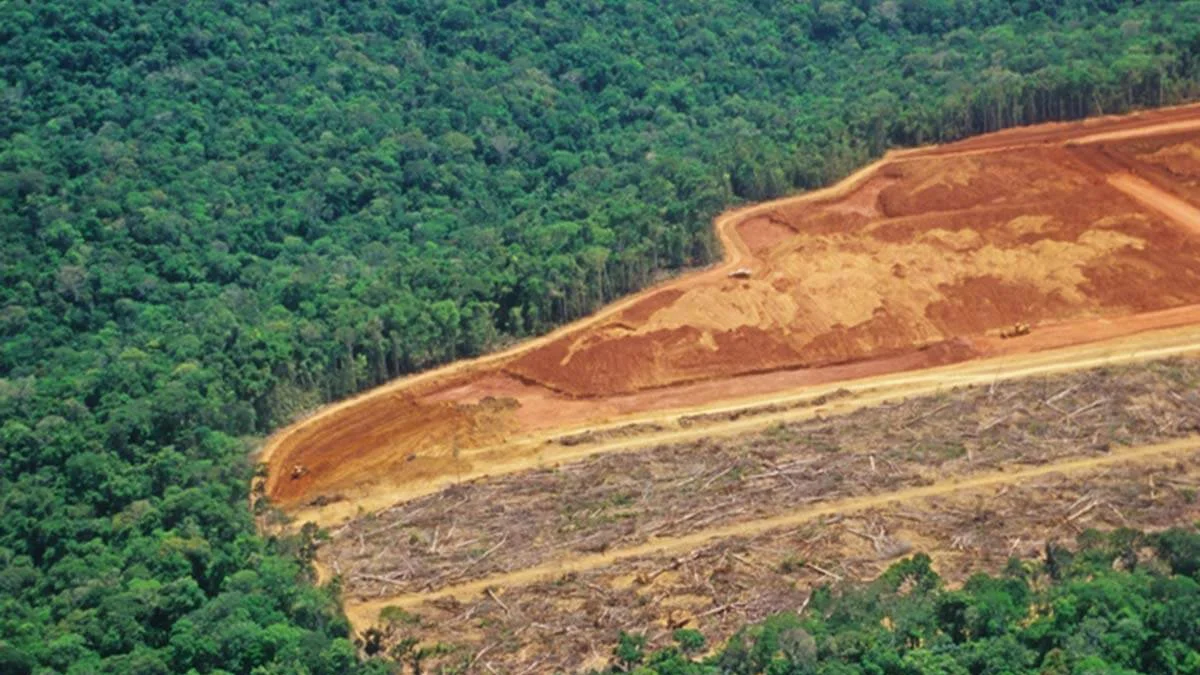 Desmatamento na Amazônia e no Cerrado atinge menor nível da série histórica