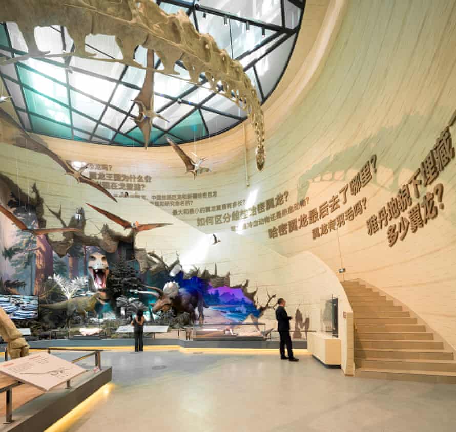 Como ovos de dinossauro na areia: o museu de pterossauros construído para prosperar no deserto do Gobi