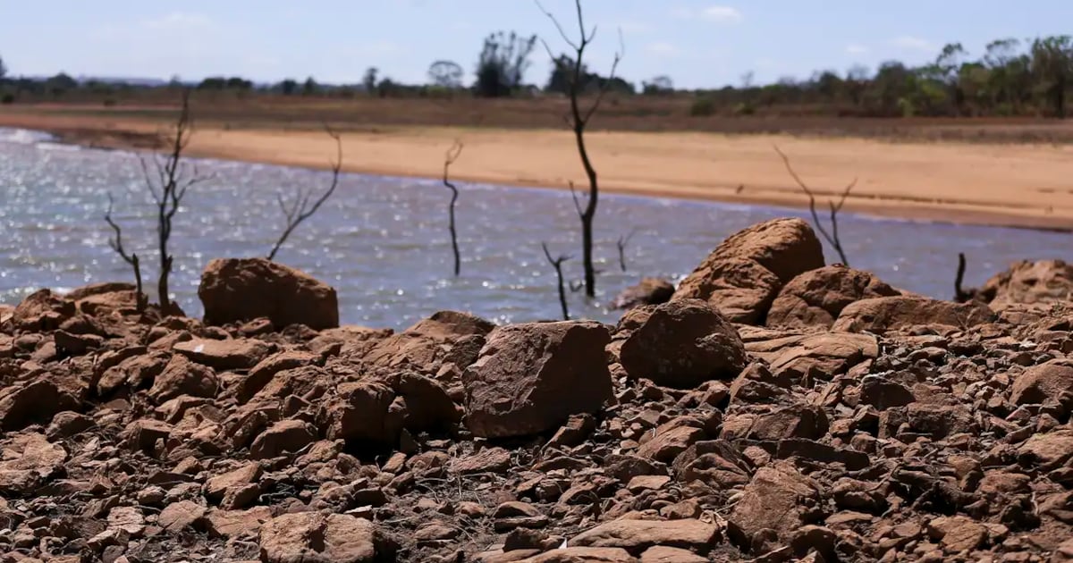 Ministério da Agricultura cria página para orientar agro sobre riscos do El Niño