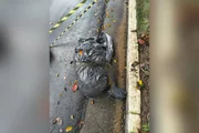 Corpos em sacos de lixo: veja casos ligados à teoria de serial killer - imagem 3