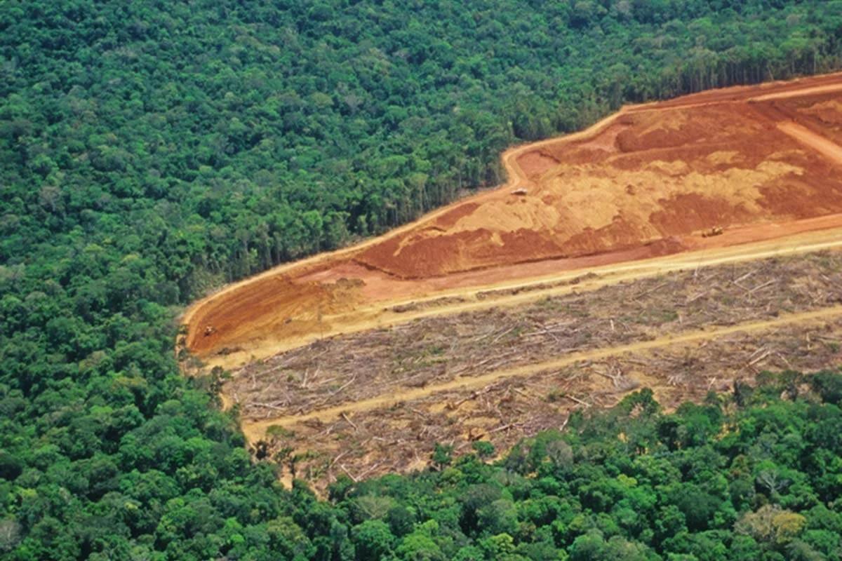 Desmatamento na Amazônia e no Cerrado atinge menor nível da série histórica