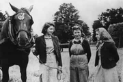 Vida glamourosa com um fim trágico: conheça a história da princesa Margaret