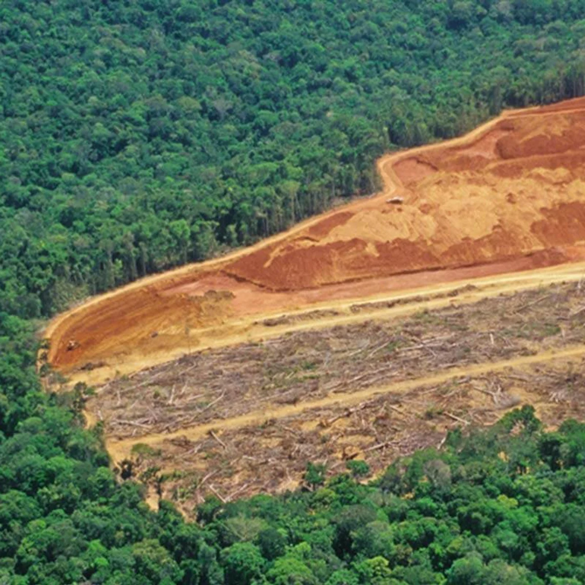 Desmatamento na Amazônia e no Cerrado atinge menor nível da série histórica