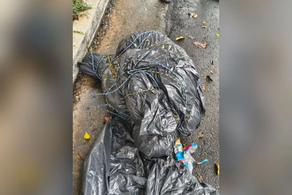 corpos sacos casos serial killer