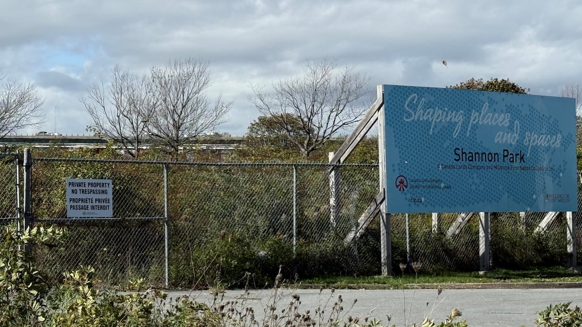 Halifax’s Shannon Park development to help support defence spending: minister