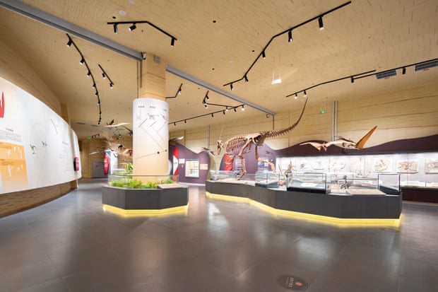 Como ovos de dinossauro na areia: o museu de pterossauros construído para prosperar no deserto do Gobi
