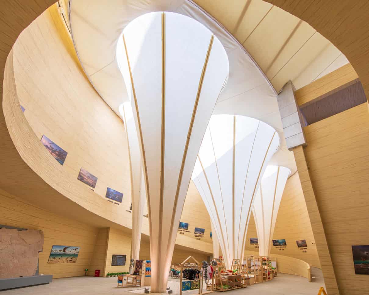 Como ovos de dinossauro na areia: o museu de pterossauros construído para prosperar no deserto do Gobi