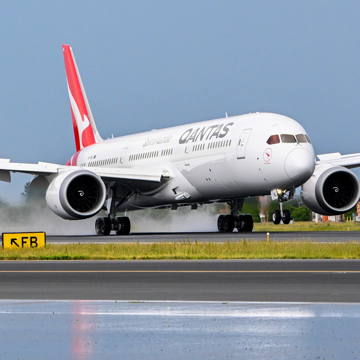 Infestação de percevejos-moradores obriga a Qantas a deixar um avião em solo em Roma