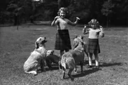 Vida glamourosa com um fim trágico: conheça a história da princesa Margaret