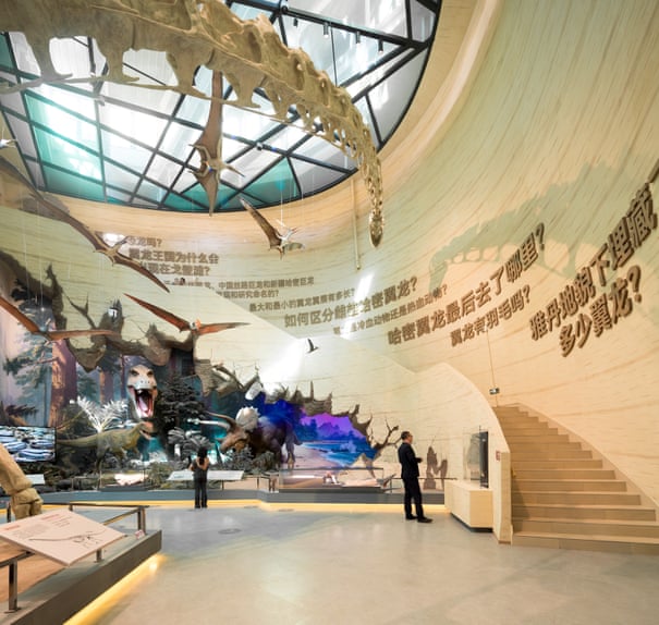 Como ovos de dinossauro na areia: o museu de pterossauros construído para prosperar no deserto do Gobi