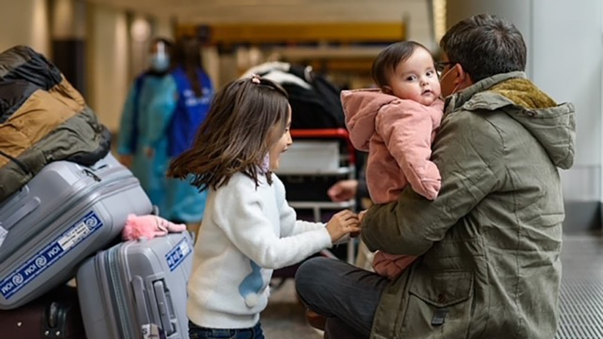 What would charging temporary residents for health care and education mean for Alberta?